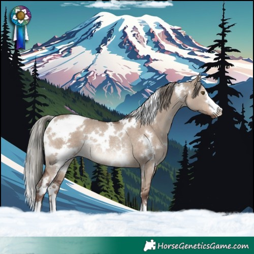 Horse Color:White Spotted Liver Red Dun Mushroom Rabicano