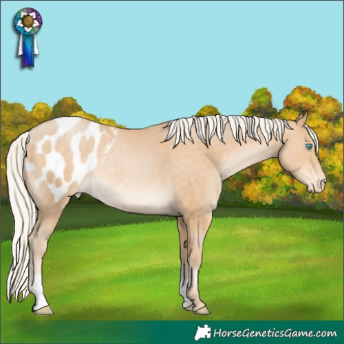 Horse Color:Silver Buckskin Pearl Blanket