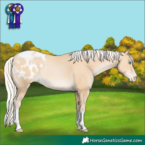 Horse Color:Silver Smoky Black Pearl Blanket 