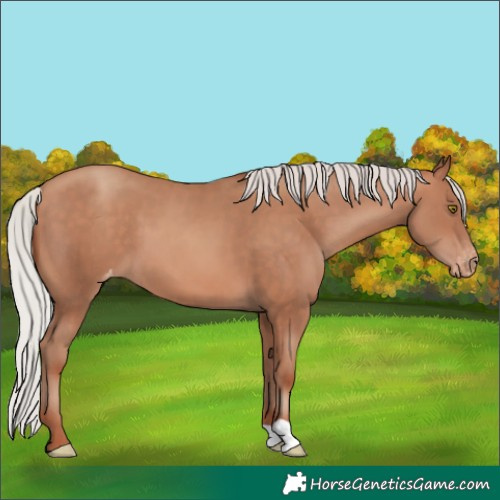 Horse Color:Silver Sable Champagne Varnish