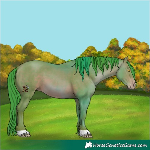 Horse Color:Watercolor Sable Champagne