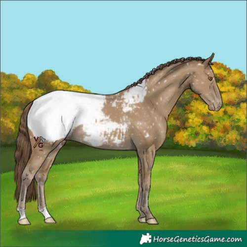 Horse Color:Classic Cream Champagne Snowcap Rabicano