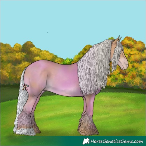 Horse Color:Watercolor Silver Classic Champagne 