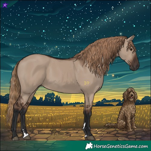 Horse Color:Liver Red Dun Rabicano