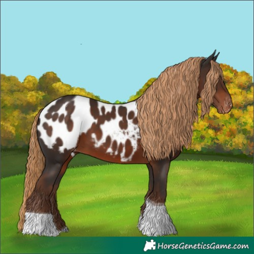 Horse Color:Liver Chestnut Tobiano Near Leopard 
