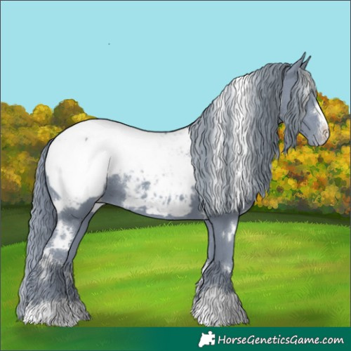 Horse Color:Watercolor White Spotted Black Snowcap