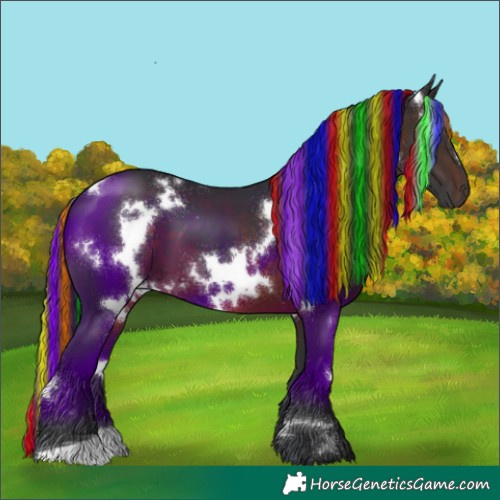 Horse Color:Painted White Spotted Brown
