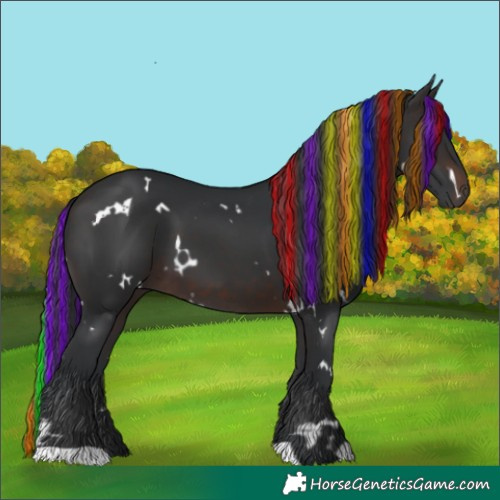 Horse Color:Painted White Spotted Brown