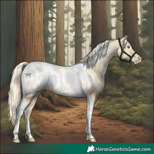 Horse Color:Palomino Pearl Tobiano Blanket Rabicano