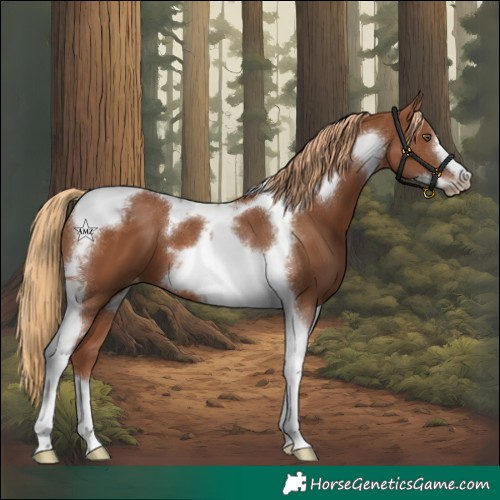 Horse Color:Chestnut Tobiano Frame Varnish