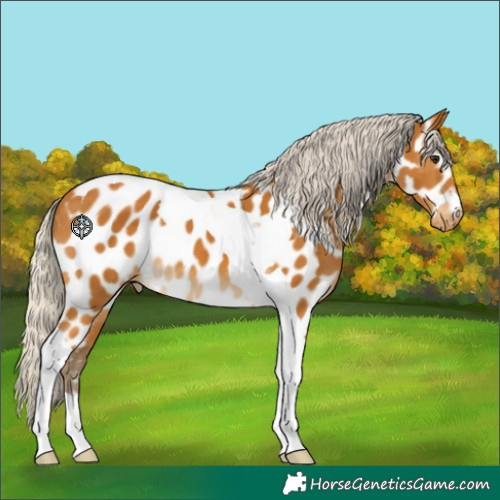 Horse Color:Silver Buckskin Tobiano Near Leopard