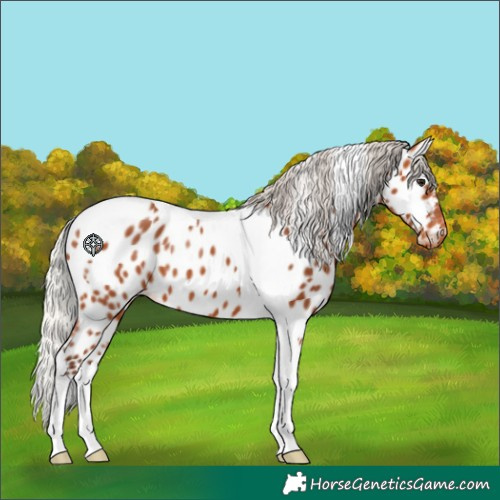 Horse Color:Silver Bay Tobiano Near Leopard 