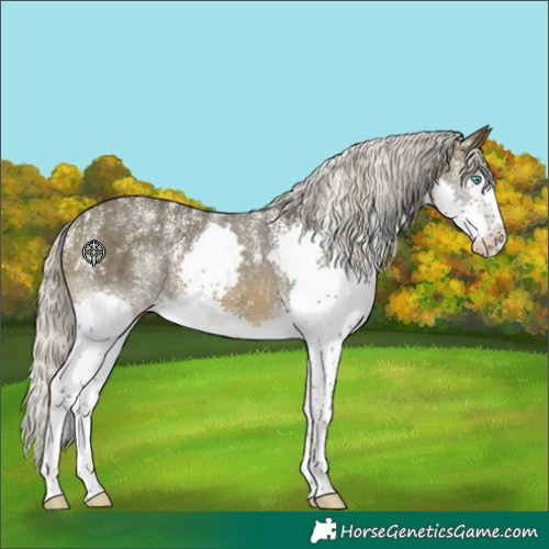 Horse Color:Powder White Silver Buckskin Sabino Splash