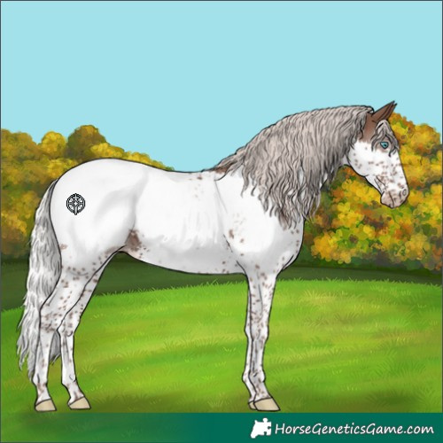 Horse Color:Silver Black Splash Tobiano Snowcap