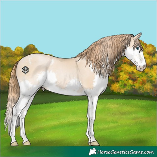 Horse Color:Powder White Smoky Black Pearl Splash Tobiano 