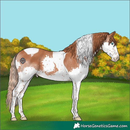 Horse Color:Chestnut Splash Tobiano Varnish 