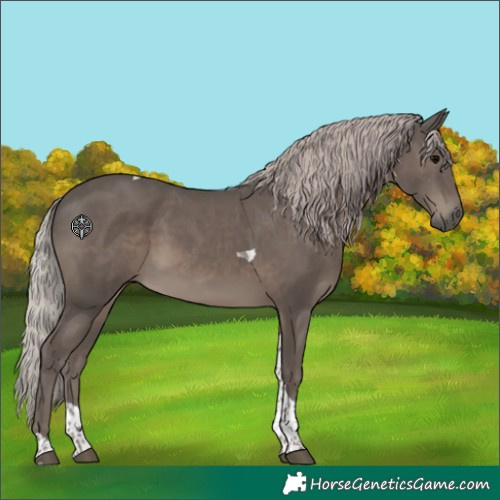 Horse Color:Silver Black Tobiano 