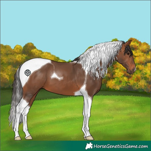 Horse Color:Bay Tobiano 