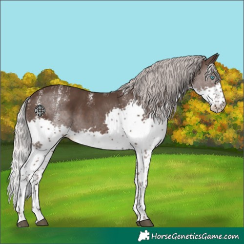 Horse Color:Powder White Silver Black Splash Tobiano 