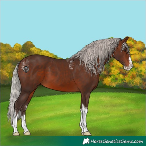 Horse Color:Powder White Silver Brown Splash Tobiano