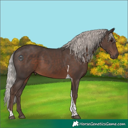 Horse Color:Silver Black Tobiano 