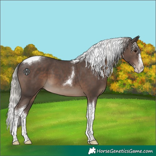 Horse Color:Silver Black Splash Tobiano