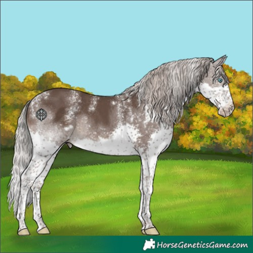 Horse Color:Powder White White Spotted Silver Black Splash