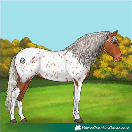 Horse Color:Silver Bay Tobiano Near Leopard