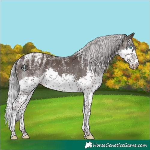 Horse Color:Powder White Platinum Silver Black Splash Snowflake Varnish