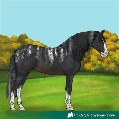 Horse Color:Powder White Brown Splash