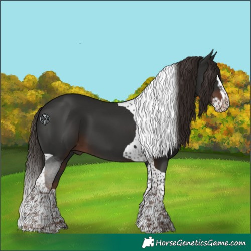 Horse Color:Liver Chestnut Splash Tobiano