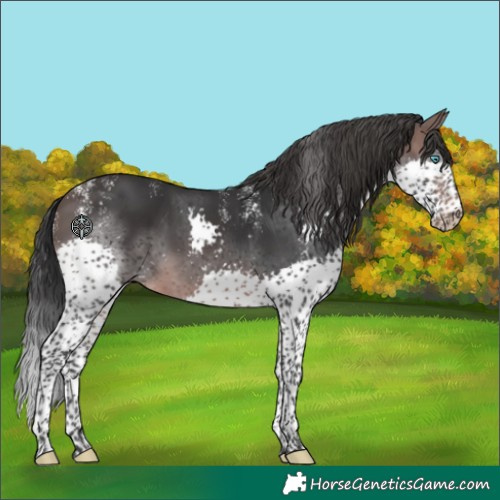 Horse Color:Powder White Platinum Brown Splash Tobiano