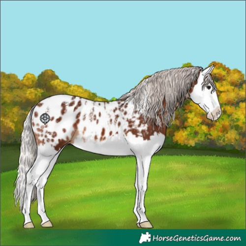 Horse Color:Powder White Silver Brown Splash Blanket 