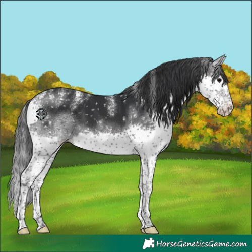 Horse Color:Powder White Platinum Brown Splash Snowflake Varnish