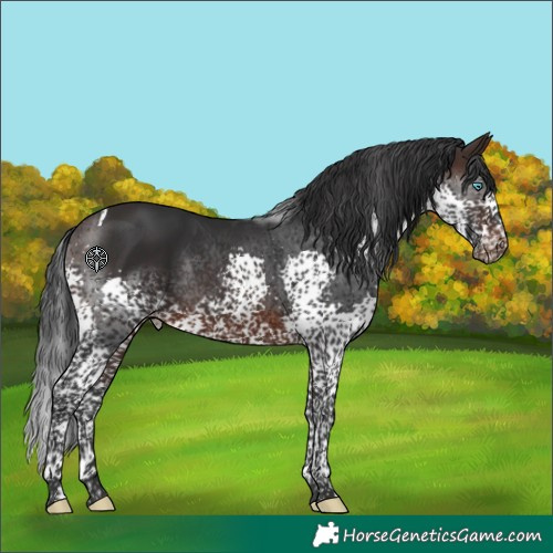 Horse Color:Brown Splash Tobiano Varnish 