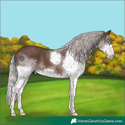 Horse Color:Silver Black Splash Tobiano 