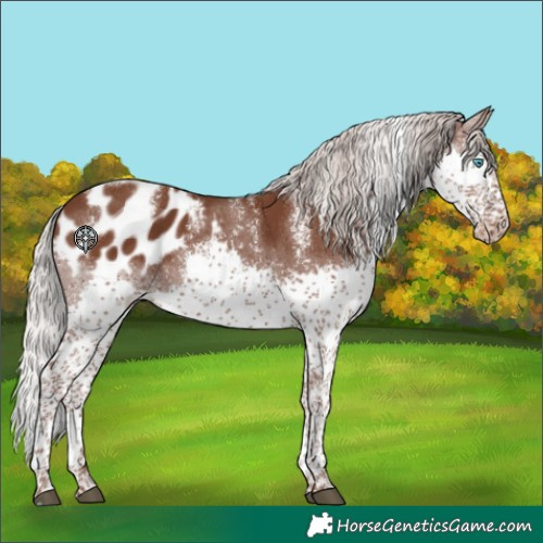 Horse Color:Powder White Silver Black Splash Tobiano Blanket