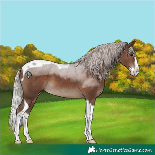 Horse Color:Silver Black Splash Tobiano 