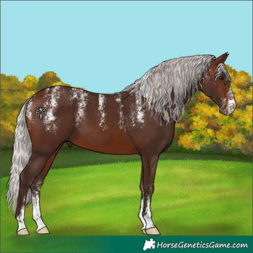 Horse Color:Powder White Silver Brown 