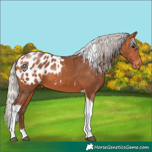 Horse Color:Silver Bay Tobiano Blanket 