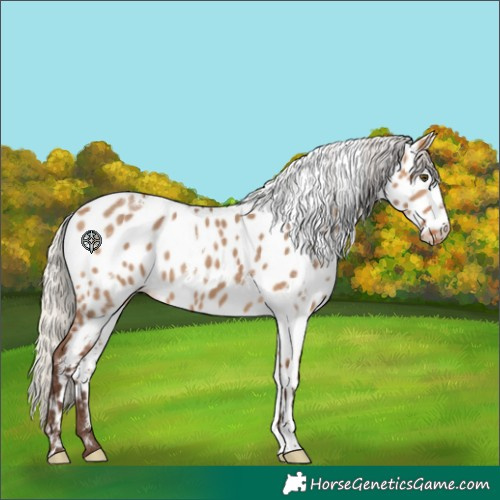 Horse Color:White Spotted Silver Brown Dun Near Leopard
