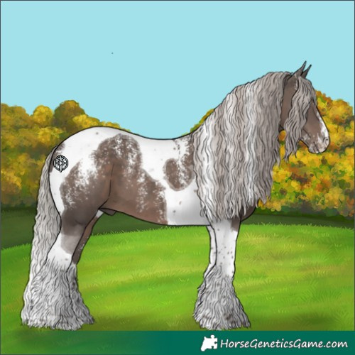 Horse Color:Powder White Silver Black Tobiano 