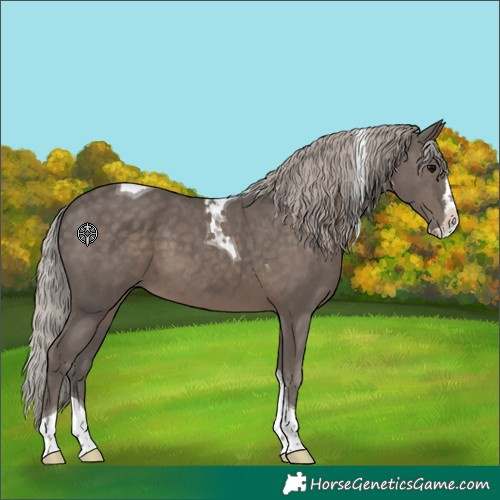 Horse Color:Silver Black Splash Tobiano 