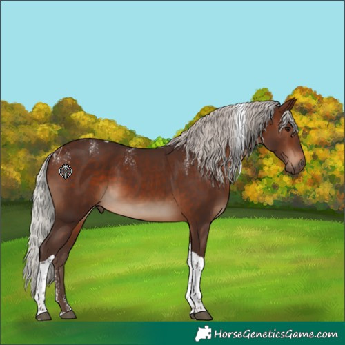 Horse Color:Powder White Silver Brown Tobiano