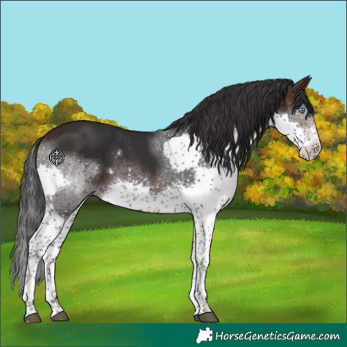 Horse Color:Brown Splash Tobiano