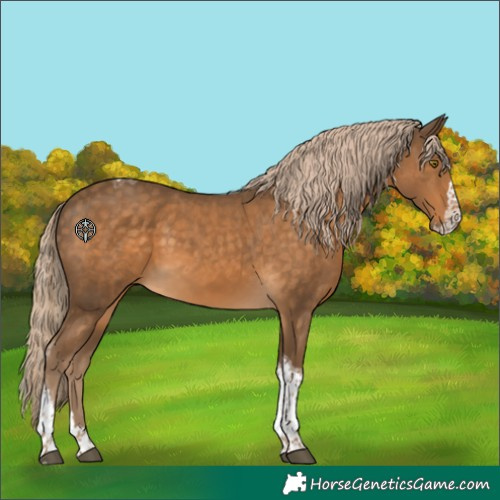 Horse Color:Chocolate Palomino Splash Tobiano 