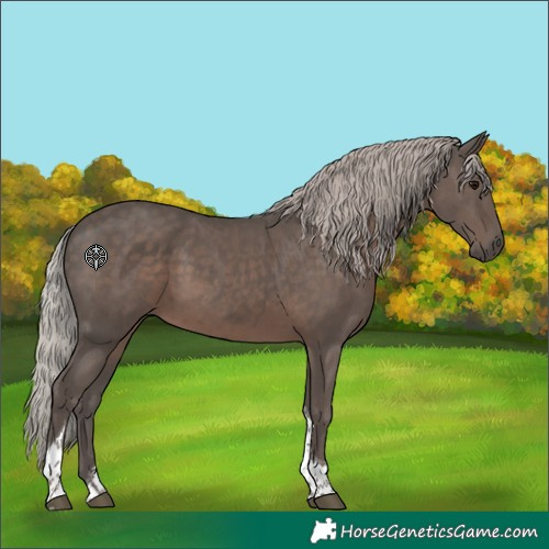 Horse Color:Silver Black Tobiano