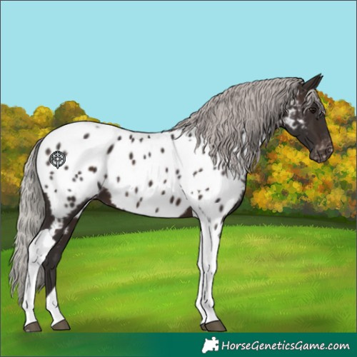 Horse Color:Silver Brown Tobiano Near Leopard
