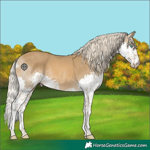 Horse Color:Chocolate Palomino Splash Tobiano 
