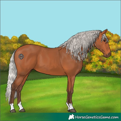 Horse Color:Silver Bay 